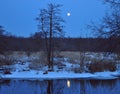 Landscape of spring, night forest,river. Full moon in the wood. Enchanting night scenery in outdoors