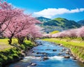 Landscape in spring scenery of river and sakura.