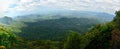 Landscape in Springbrook National Park in Australia.