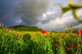Landscape at the springtime with Deva citadel, Romania Royalty Free Stock Photo