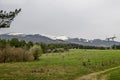 Landscape of springtime nature with mix forest, electric power transmission line and glade in Plana mountain and snowy Vitosha Royalty Free Stock Photo