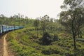 Landscape Sri Lanka. Railway between Ella and Kandy.