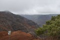 Landscape of st Waimea rocky Canyon State Park and trees in Hawaii with cloudy sky Royalty Free Stock Photo