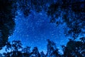 Landscape with star rail over tree. Night sky with stars. Long exposure photograph Royalty Free Stock Photo