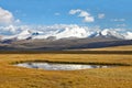 Landscape steppe shore lake, Ukok Plateau, Altai, R