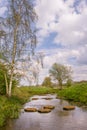 Landscape with steppjng stones in the river Regge in the Netherlands