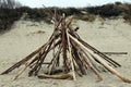 Landscape with sticks, sand and dry grass. Firewood for a campfire on a deserted beach. Royalty Free Stock Photo