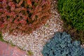 Landscape stone modern garden design composition with marigold orange blue green plants Royalty Free Stock Photo