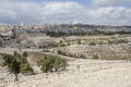 Landscape on stone slabs Royalty Free Stock Photo