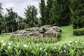 Landscape stones and flowers