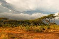 Landscape before storm, Samburu, Kenya