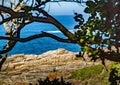 Landscape at the Storms River Mouth at the Indian Ocean Royalty Free Stock Photo