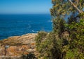 Landscape at the Storms River Mouth at the Indian Ocean Royalty Free Stock Photo