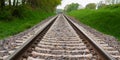 Railroad tracks in the countryside. Royalty Free Stock Photo