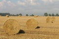 Landscape with straw bales after a hay harvest in summer in a field Royalty Free Stock Photo