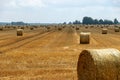 Landscape with straw rolls on a fallow field, late summer in nature