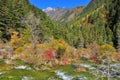 Landscape of streaming water and trees at Jiuzhaigou