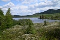 Canadian Green Mountains Royalty Free Stock Photo