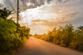 Landscape street and trees