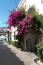 Street with white houses and colorful flowers, small fishing village. Romantic architecture of the port of Mogan in Gran Canaria, Royalty Free Stock Photo