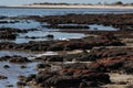 Landscape of Stromatolites at Hamelin Pool Western Australia Royalty Free Stock Photo