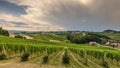 Landscape with Styrian Tuscany Vineyard