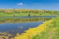 Landscape with Suha Sura river in Vasylivka village near Dnepr city, central Ukraine Royalty Free Stock Photo
