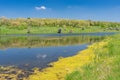 Landscape with Suha Sura river in Vasylivka village near Dnepr city, central Ukraine