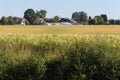 landscape in summer blue sky Royalty Free Stock Photo