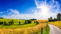 Landscape in summer with bright sun Royalty Free Stock Photo