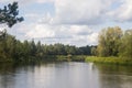 Landscape with a summer forest lake. Green trees by the water Royalty Free Stock Photo