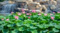 summer lotus pond Royalty Free Stock Photo