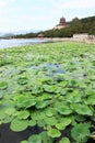 Landscape of Summer palace Royalty Free Stock Photo