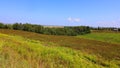 Landscape in summer in Prince Edwards Island