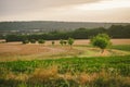 Landscape summer rural scene in France, region Burgundy. Road and nature in old europe. Countryside road in Burgundy