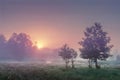 A landscape of summer sunrise in misty morning with colorful sky on the horizon. Scenic landscape of nature in a meadow. Royalty Free Stock Photo