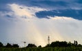 Landscape with sun rays over power lines Royalty Free Stock Photo