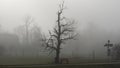 Landscape sunk in dense December fog Royalty Free Stock Photo