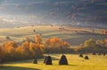 Landscape In the sunlight haystacks on autumn mountain meadow.