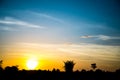 Landscape, sunny dawn in a field Royalty Free Stock Photo