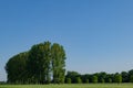 Landscape sunny scenery of meadow and tree countryside area in Germany.