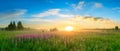 Landscape with the sunrise, a blossoming meadow panorama Royalty Free Stock Photo