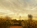 Landscape-sunset of ALHAURIN DE LA TORRE-Andalusia