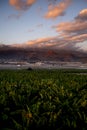 Landscape sunset beautiful view of tree bananas plantation and mountains in background with colorful amazig clouds in the blue sky