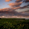 Landscape sunset beautiful view of tree bananas plantation and mountains in background with colorful amazig clouds in the blue sky