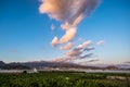 Landscape sunset beautiful view of tree bananas plantation and mountains in background with colorful amazig clouds in the blue sky