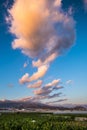 Landscape sunset beautiful view of tree bananas plantation and mountains in background with colorful amazig clouds in the blue sky