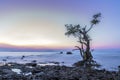 Landscape sunset @ Chonburi coast