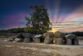 Landscape at sunset with dolmen, D54, in the province of Drenthe, the Netherlands with a background of oak trees and a beautiful