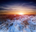 Sunset over winter meadow Royalty Free Stock Photo